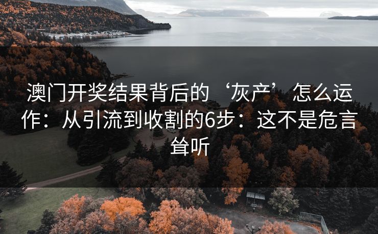 澳门开奖结果背后的‘灰产’怎么运作：从引流到收割的6步：这不是危言耸听