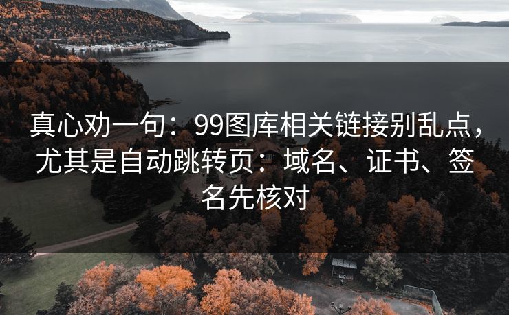 真心劝一句：99图库相关链接别乱点，尤其是自动跳转页：域名、证书、签名先核对